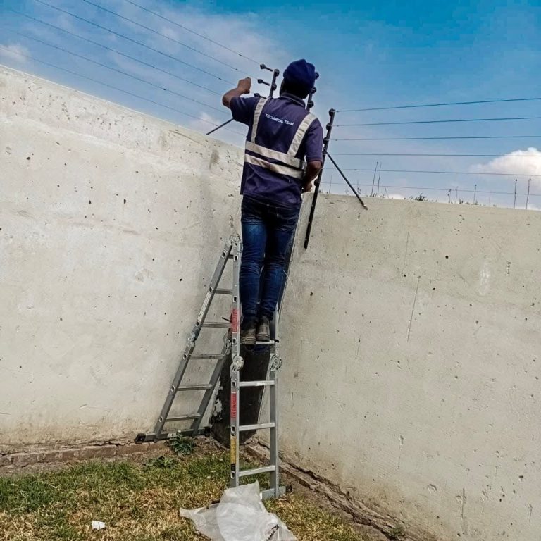 whatsapp image 2025 09 26 at 13.55.04