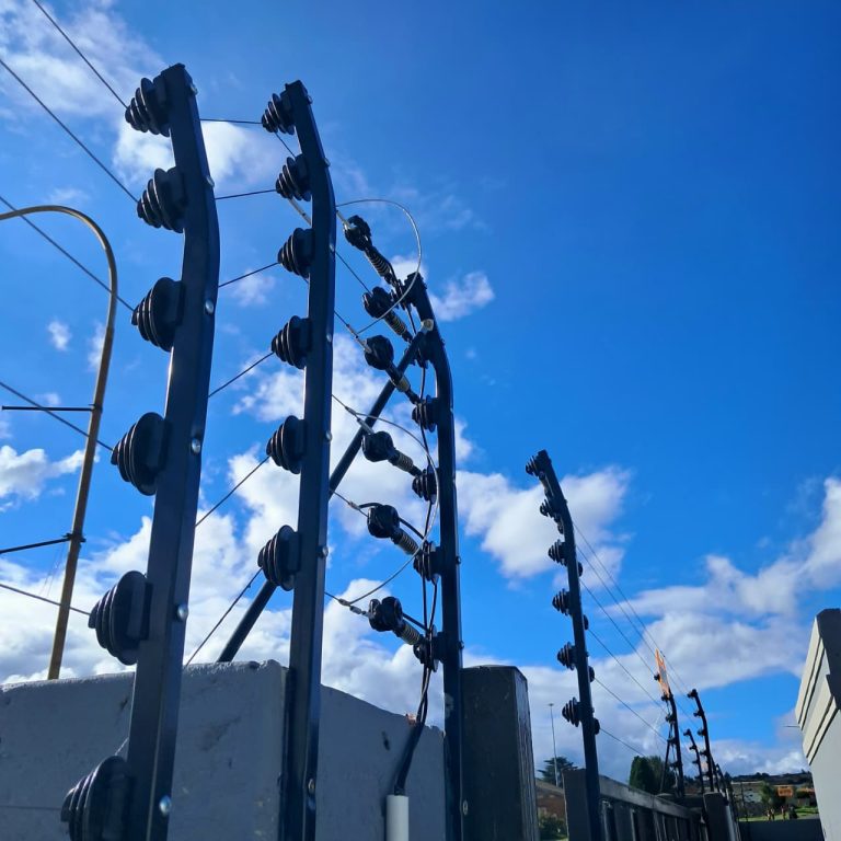 whatsapp image 2025 09 26 at 14.53.17 (3)