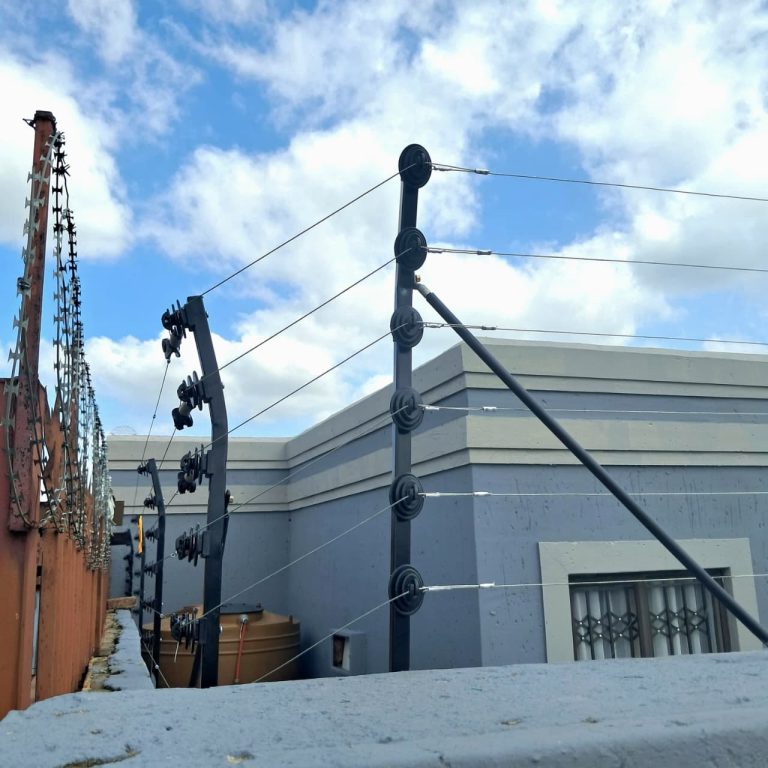 whatsapp image 2025 09 26 at 14.53.17