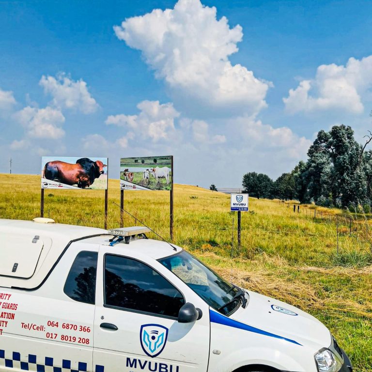 whatsapp image 2025 09 30 at 12.07.53